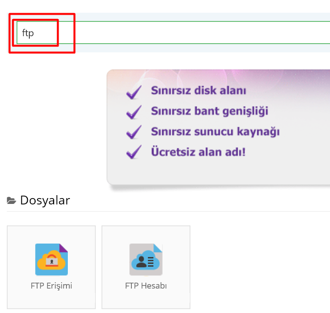 Hostinger ftp girişi